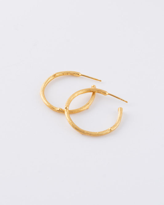 Branch Hoops Κρίκοι