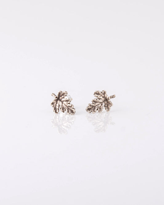 Geranium Leaf Σκουλαρίκια