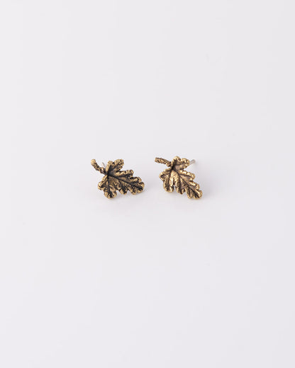 Κοντινή λήψη των σκουλαρικιών Rose Geranium Leaf από ορείχαλκο με αντικέ φινίρισμα, που αναδεικνύει τις φυσικές εσοχές του φύλλου, της ANV Jewelry.